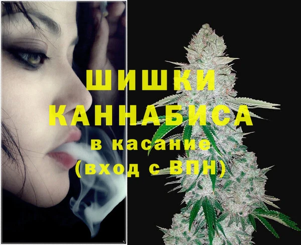 молекула духа Белокуриха