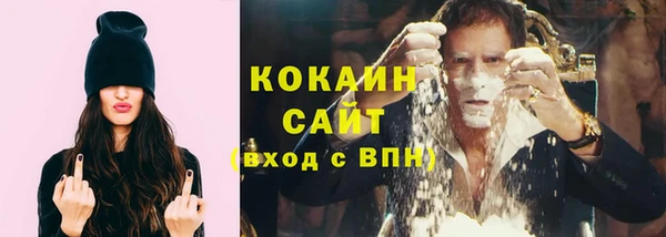 молекула духа Белокуриха