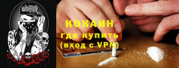 молекула духа Щучье