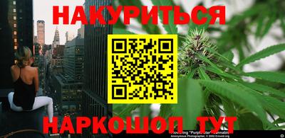 амф Донской