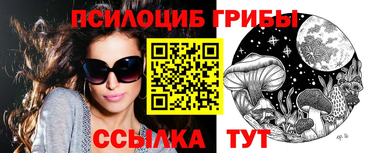 Псилоцибиновые грибы мицелий  Киреевск 